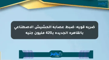 ضربة قوية: ضبط عصابة الحشيش الاصطناعي بالقاهرة الجديدة بـ420 مليون جنيه